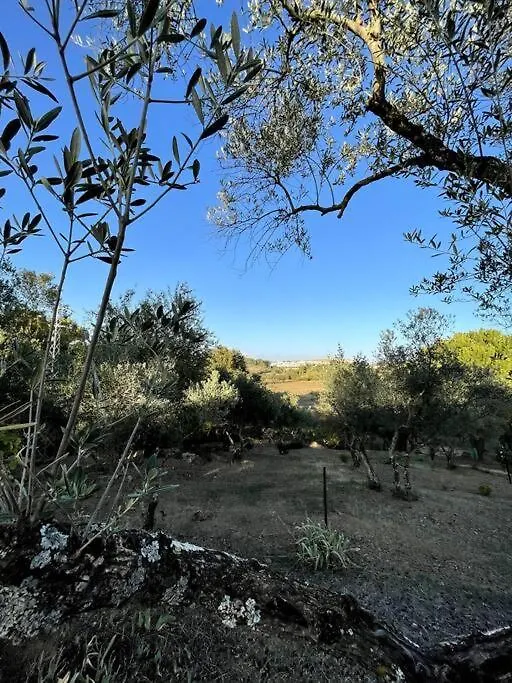 Villa Maria, Casa Rural En Cazalla De La Sierra.